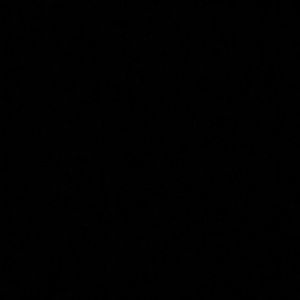 Meet your Posher, Raymond